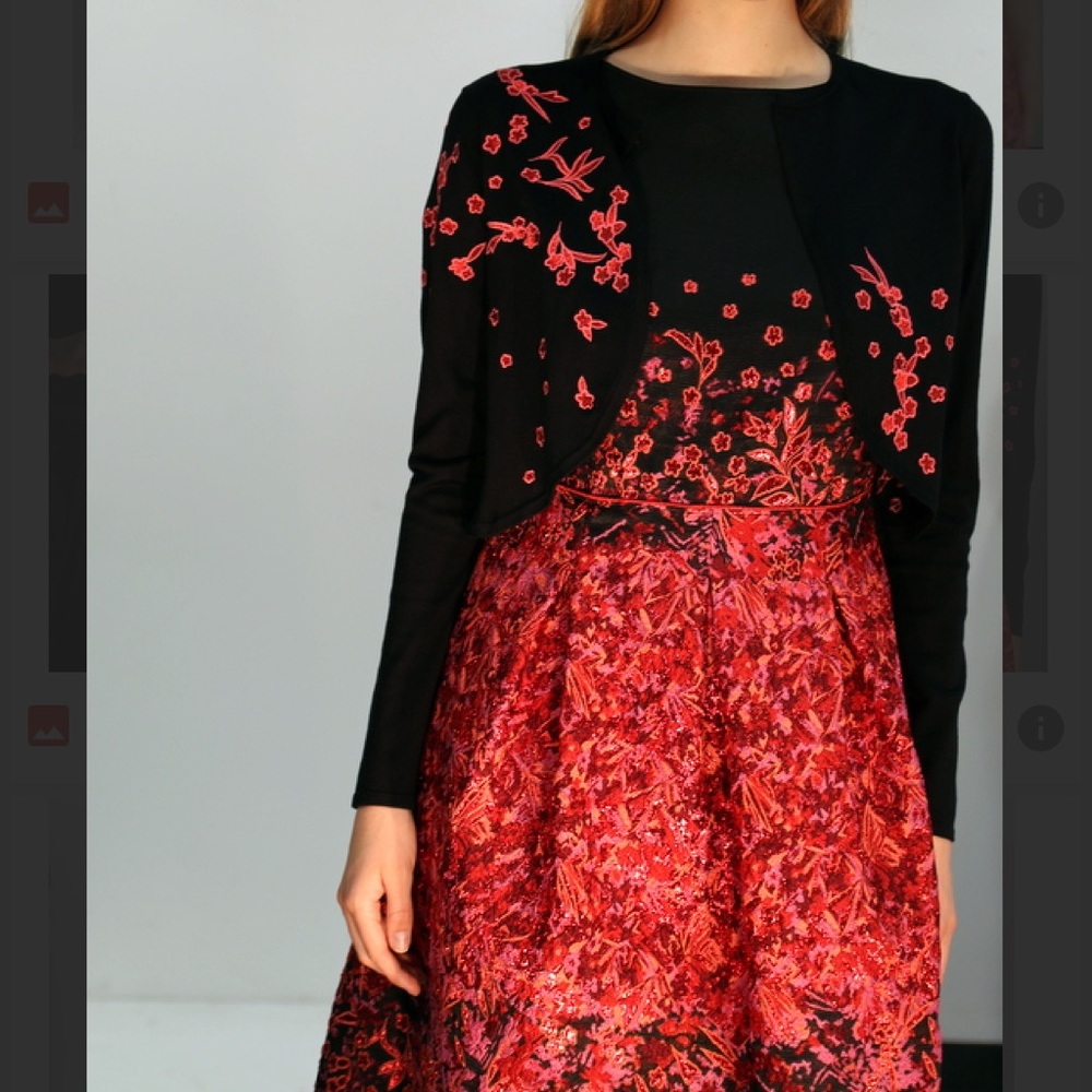 NWT Carlisle Formal Embroidered Black and Red Floral Midi Dress - Picture 11 of 14
